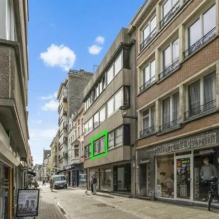 Entourage Christinastraat Apartment *