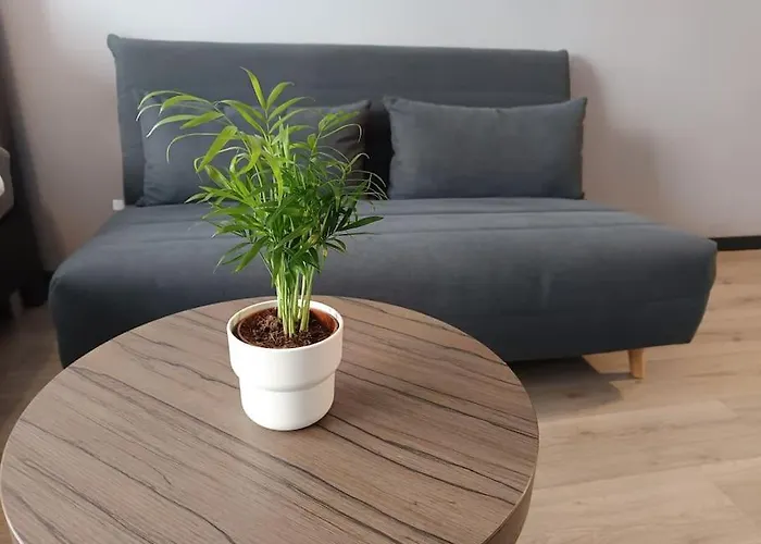 Entourage Christinastraat 公寓 奥斯滕德